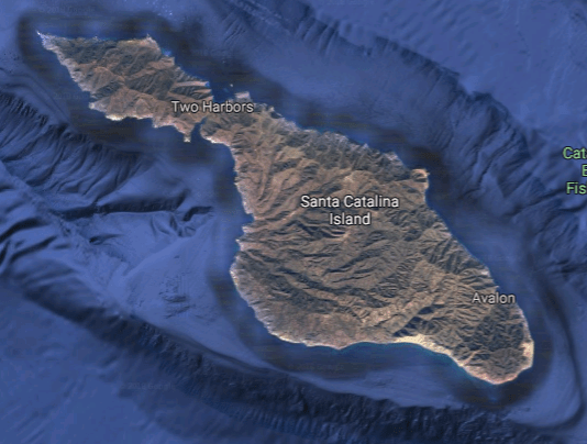 Screenshot 2018-11-23 at 2.52.24 AM